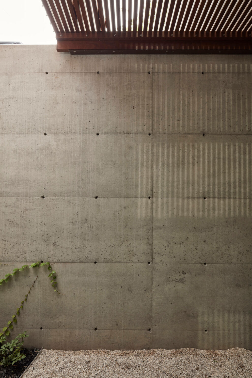 maison jardin japonais minimaliste béton végétation lumière la shed architecture